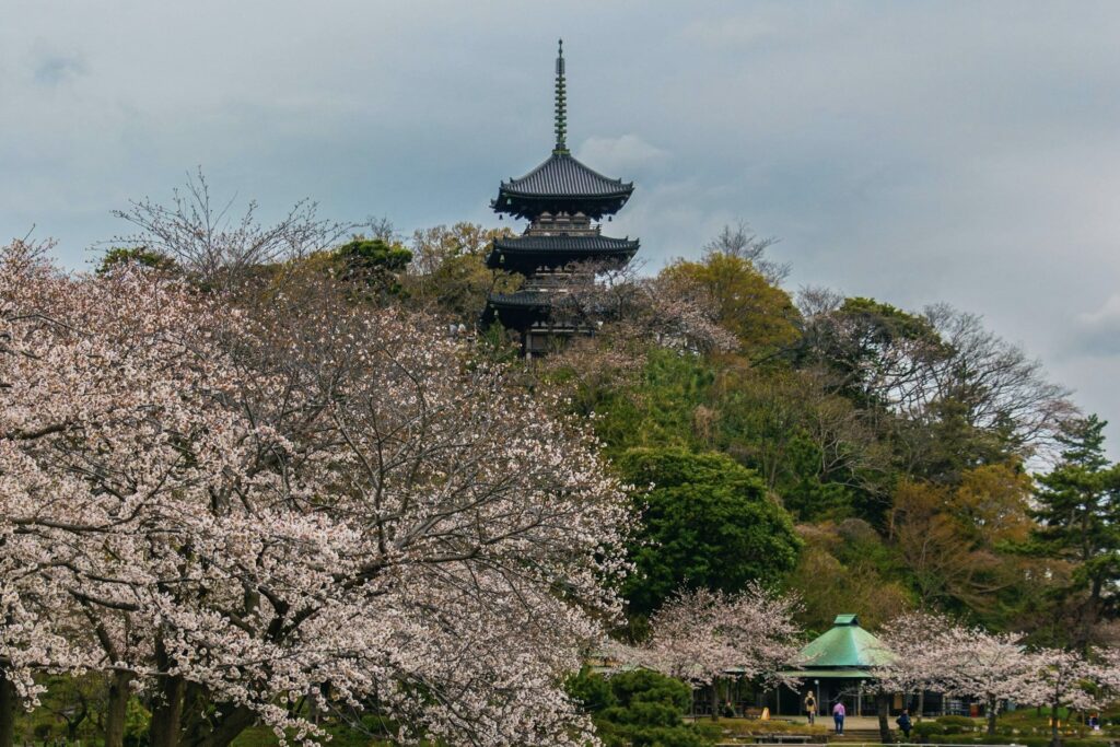三溪園