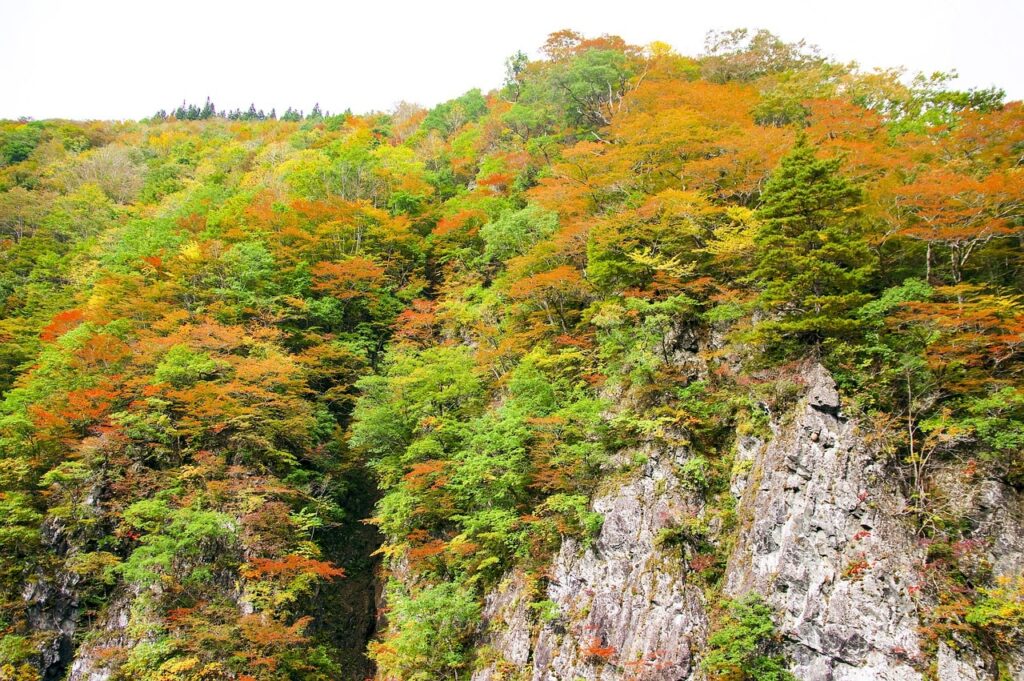 秋山郷