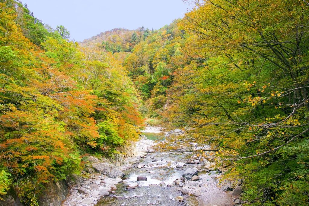 秋山郷