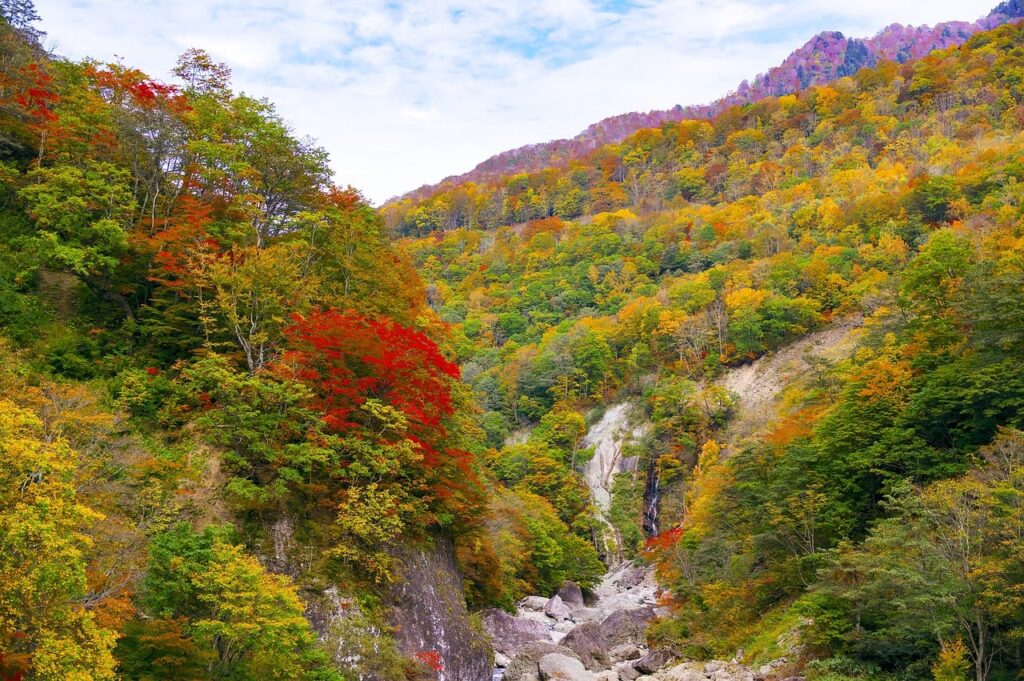 秋山郷