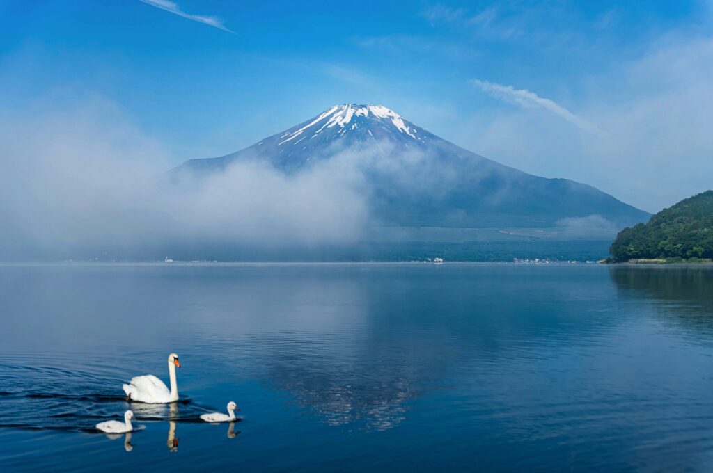 山中湖