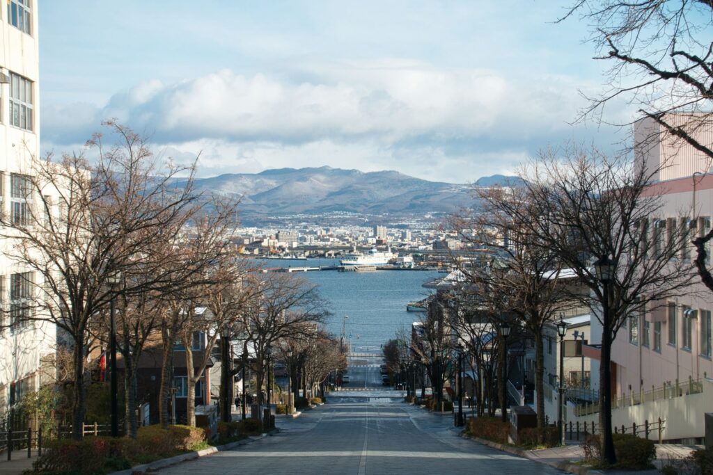 函館山 八幡坂