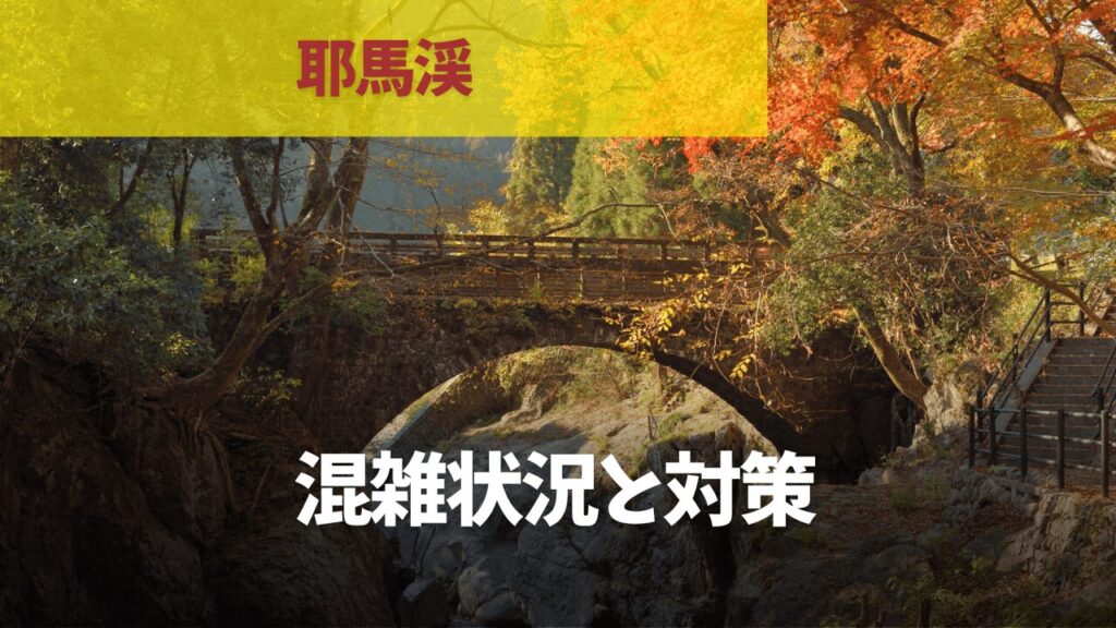 サムネ