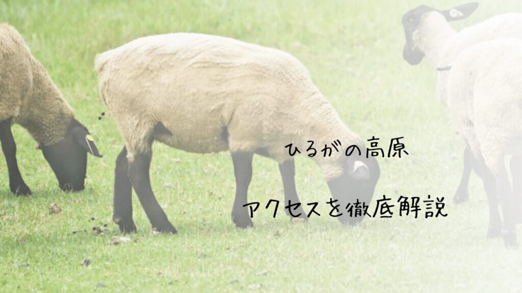 サムネ
