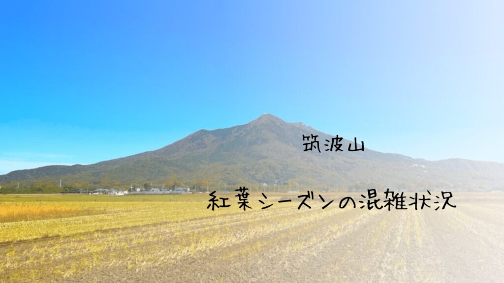サムネ