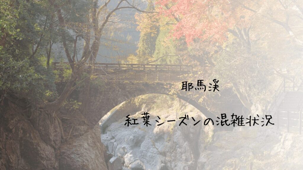 サムネ