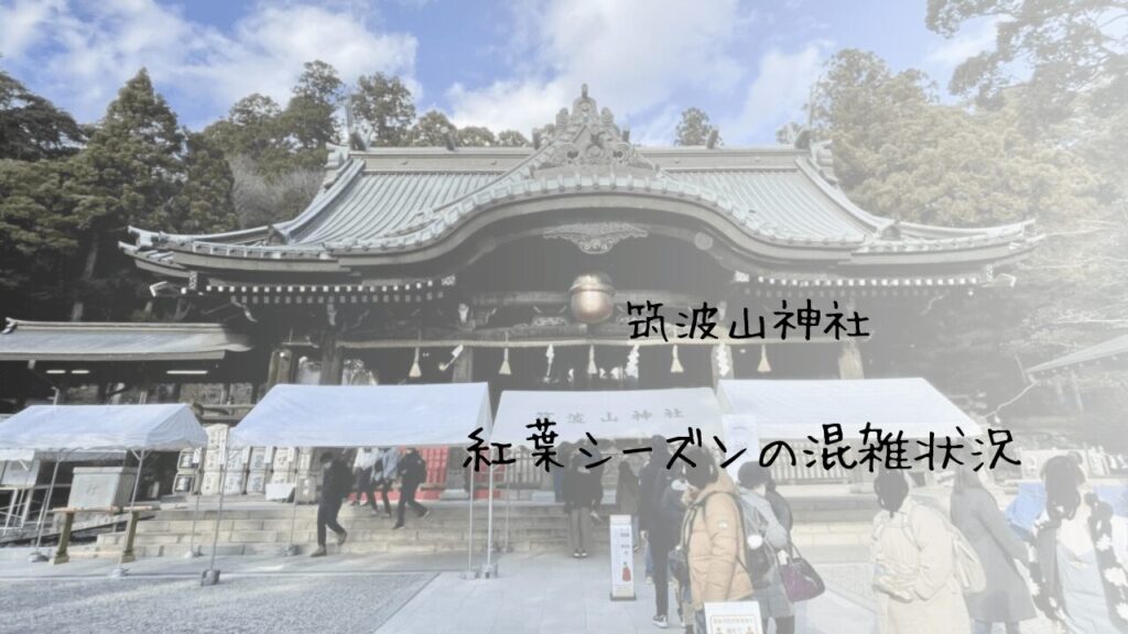 サムネ