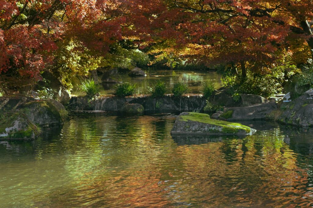 好古園 姫路城