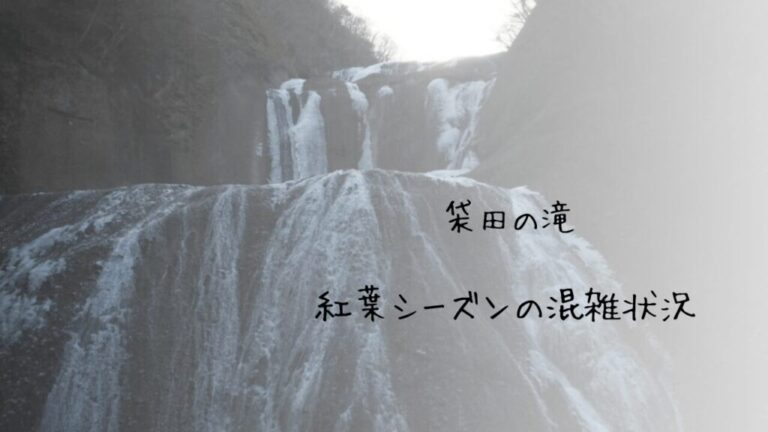 【袋田の滝】紅葉シーズンの混雑状況|時間帯・注意点などを徹底解説 | Banzokuの鳥&旅ブログ