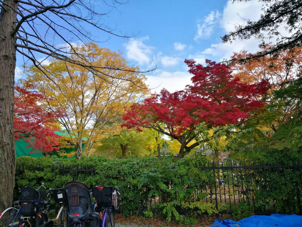 好古園 姫路城