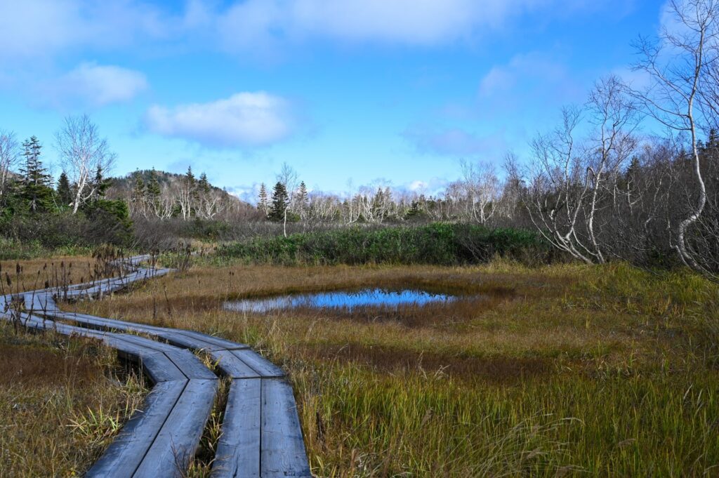 栂池自然園