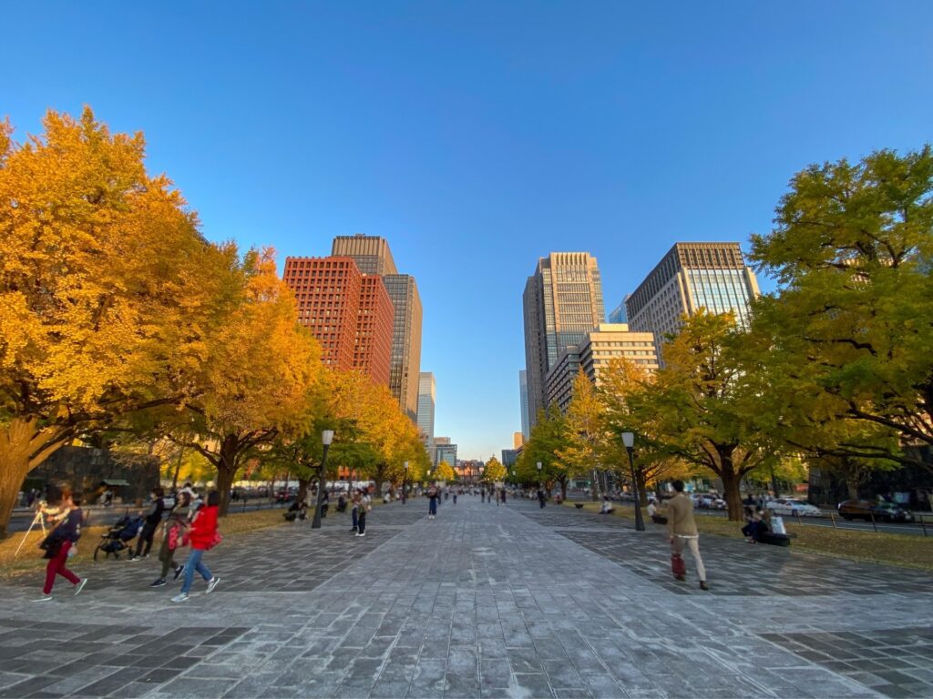 東京駅 行幸通り いちょう並木