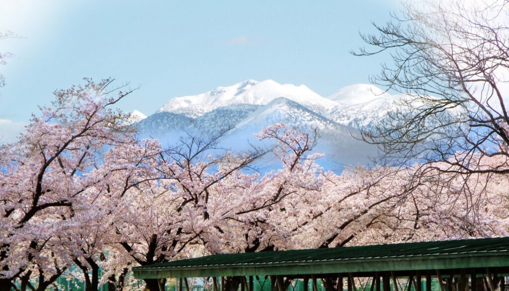 八甲田連峰