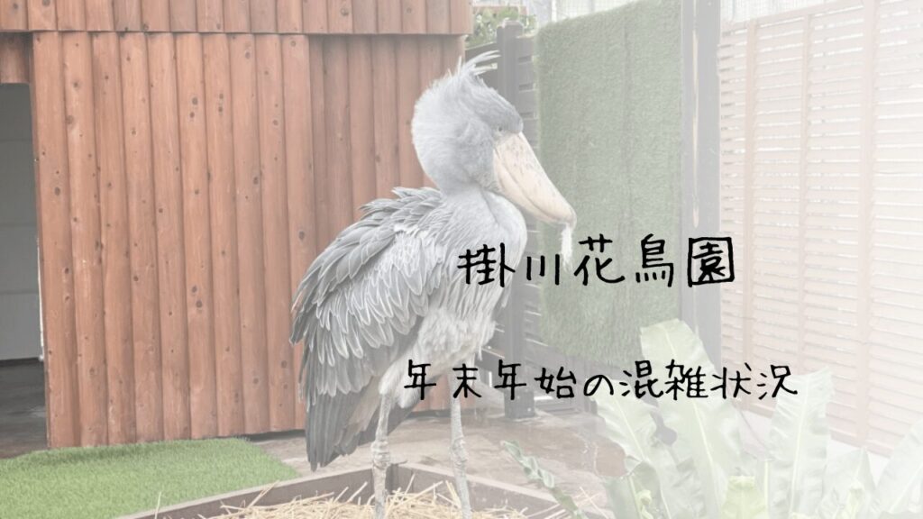 サムネ