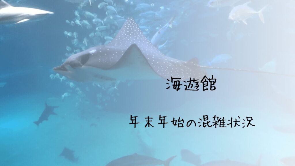サムネ