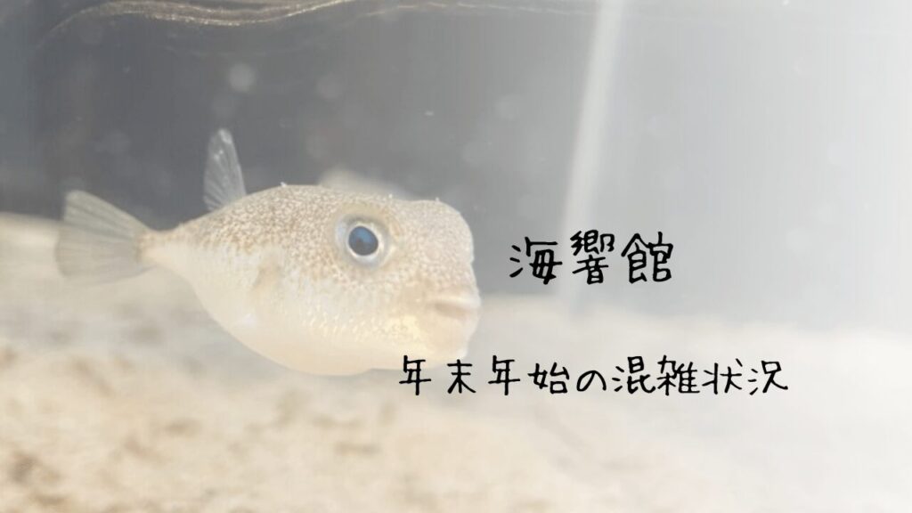 サムネ