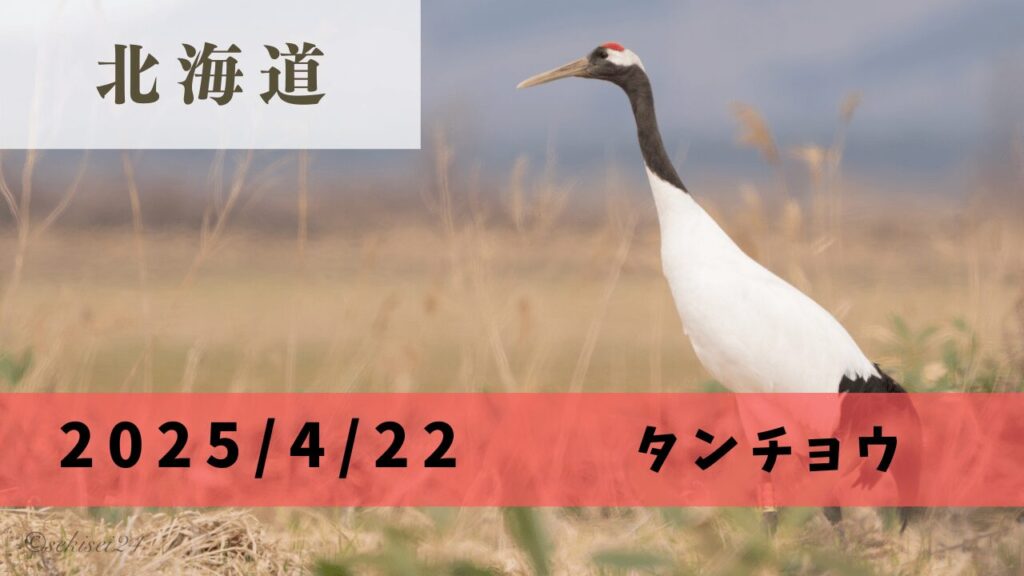 サムネ