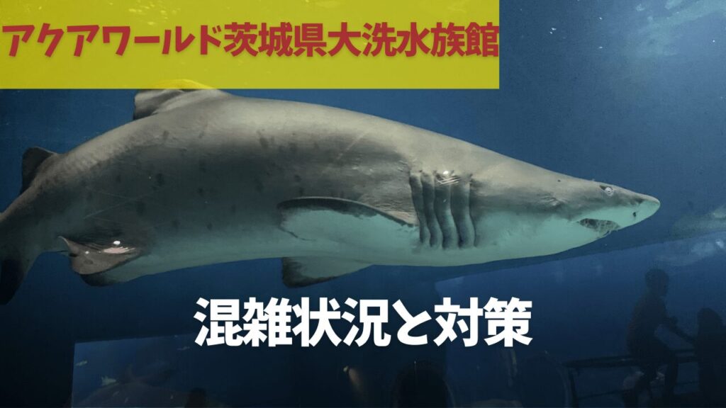 サムネ