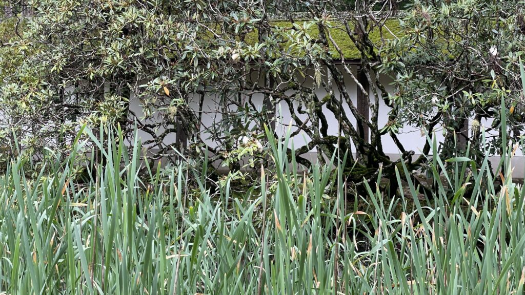高野山　金剛峯寺