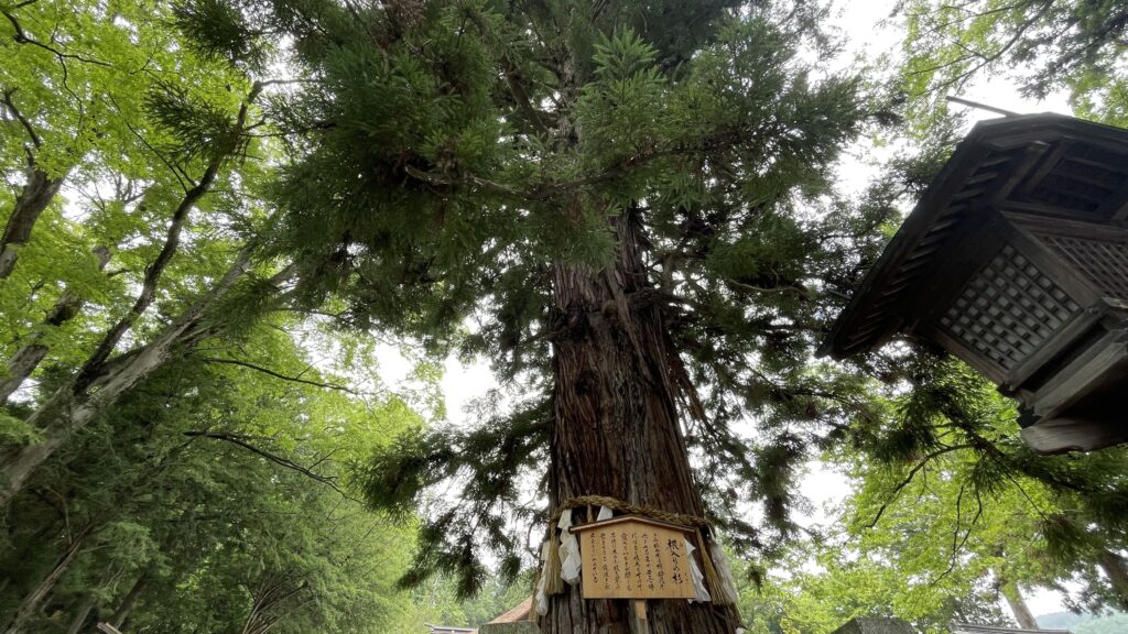 諏訪大社　下社秋宮