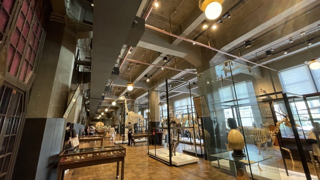 KITTE丸の内　インターメディアテク