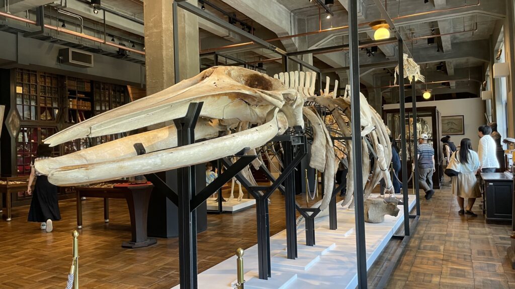 KITTE丸の内　インターメディアテク