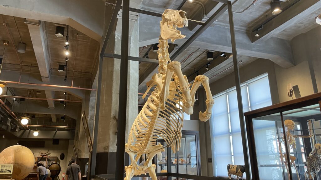 KITTE丸の内　インターメディアテク