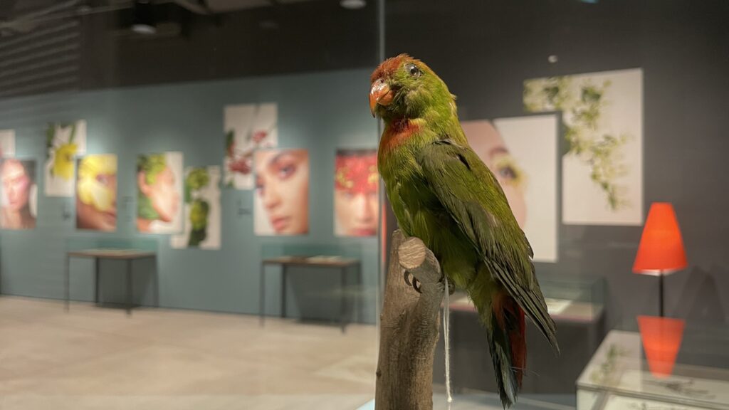 KITTE丸の内　インターメディアテク