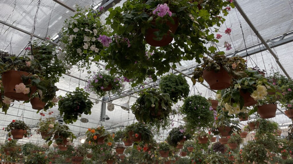 三島スカイウォーク　スカイガーデン