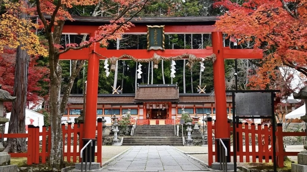 春日大社 奈良公園