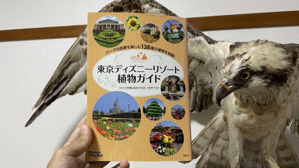 東京ディズニーランド 東京ディズニーシー