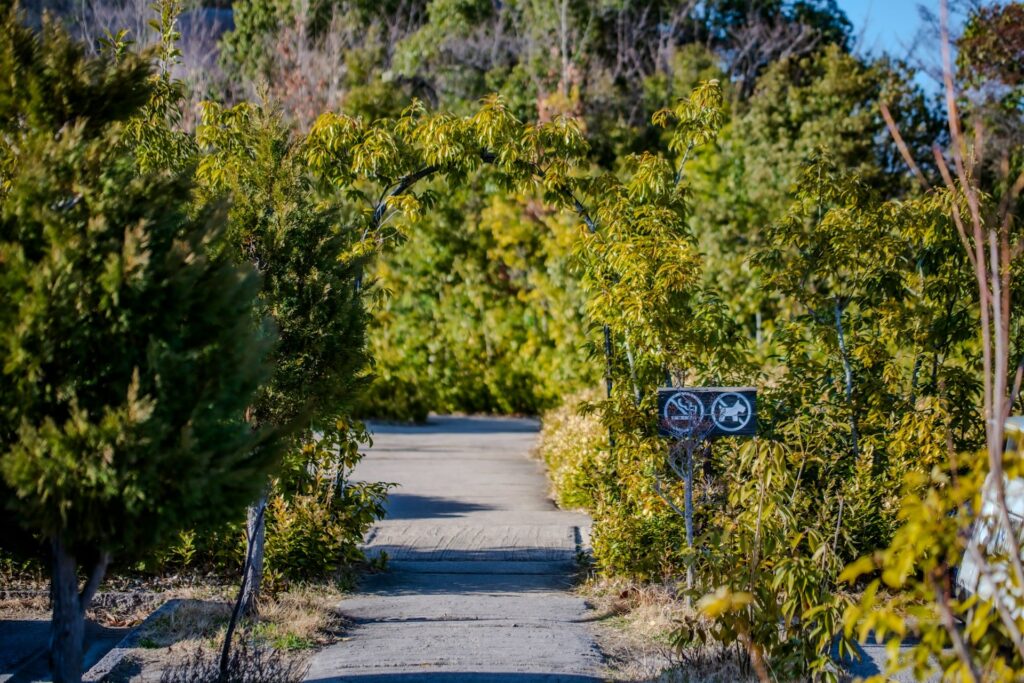 ラ コリーナ近江八幡