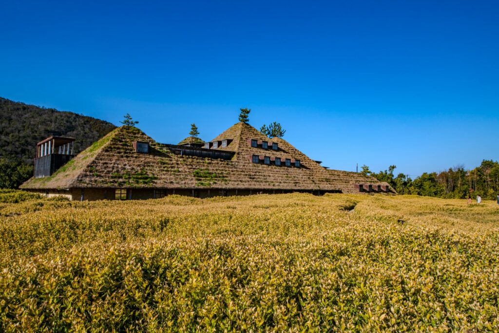 ラ コリーナ近江八幡