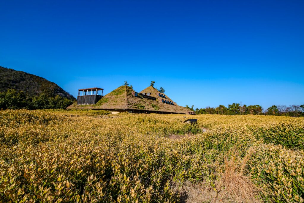 ラ コリーナ近江八幡