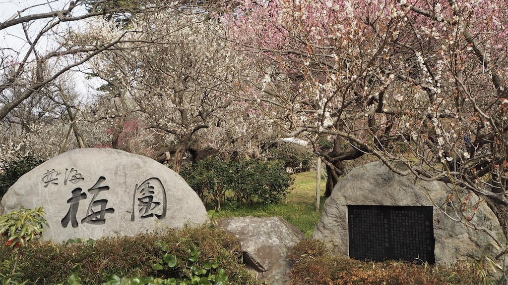 熱海梅園