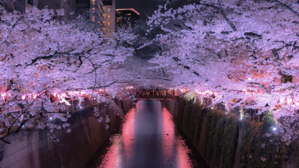 中目黒桜まつり