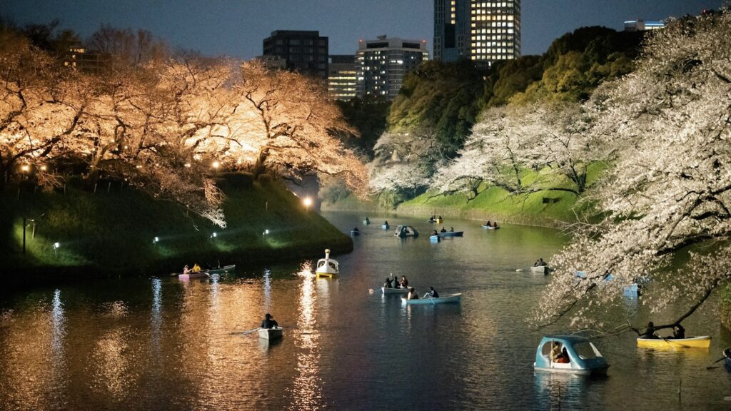 千代田のさくらまつり　千鳥ヶ淵緑道