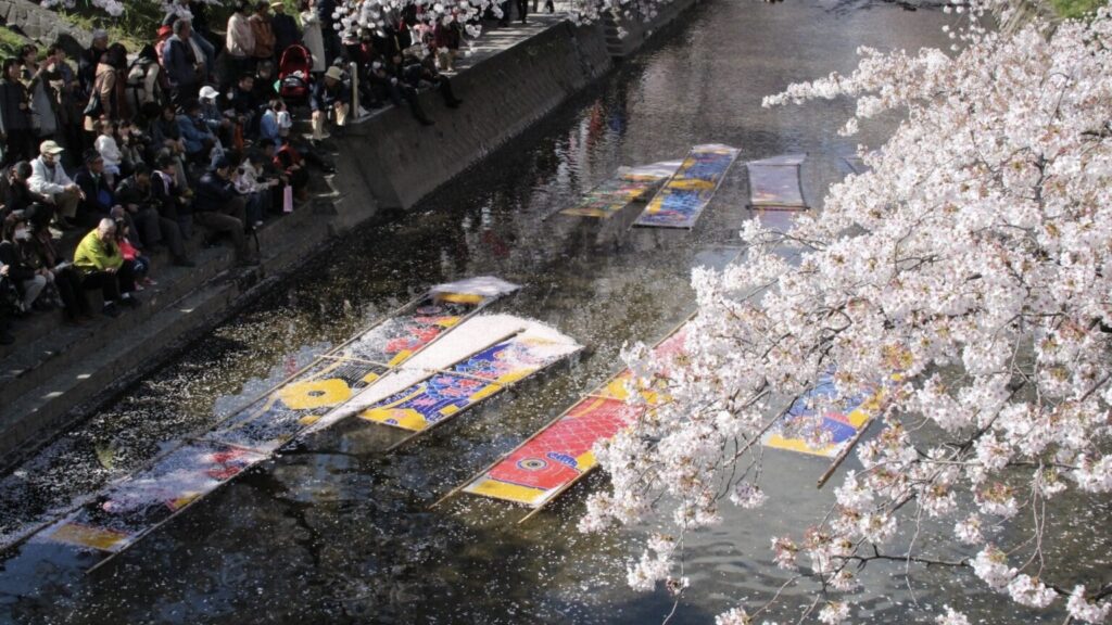 【五条川】岩倉桜まつり