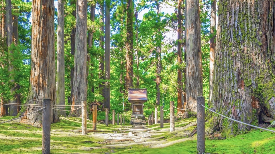 平泉寺白山神社