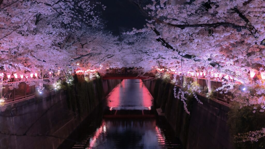 中目黒桜まつり