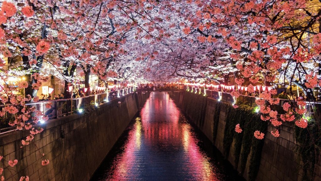 中目黒桜まつり