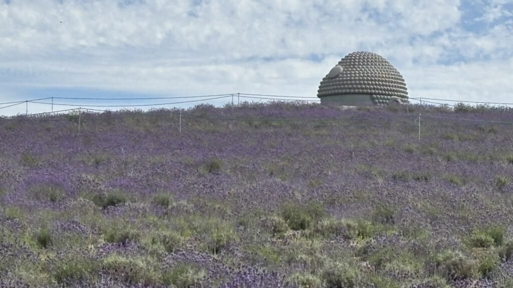 真駒内滝野霊園　頭大仏