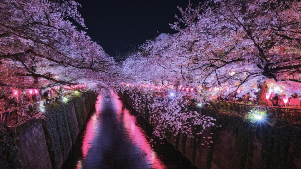 中目黒桜まつり