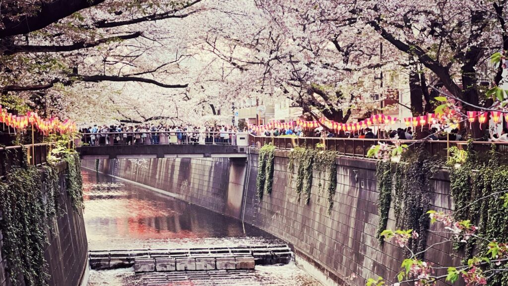 中目黒桜まつり