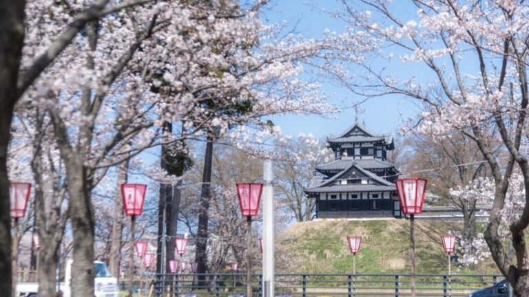 【高田城址公園】近い・安い・無料のおすすめ駐車場を徹底解説 | Banzokuの鳥&旅ブログ