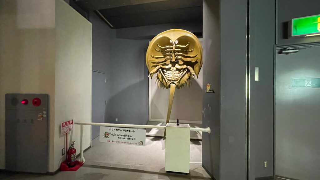 笠岡市立カブトガニ博物館