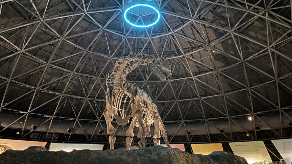 笠岡市立カブトガニ博物館 カマラサウルス