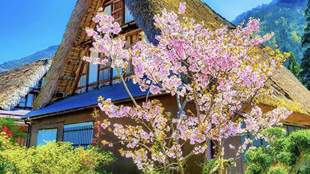 五箇山の合掌造り