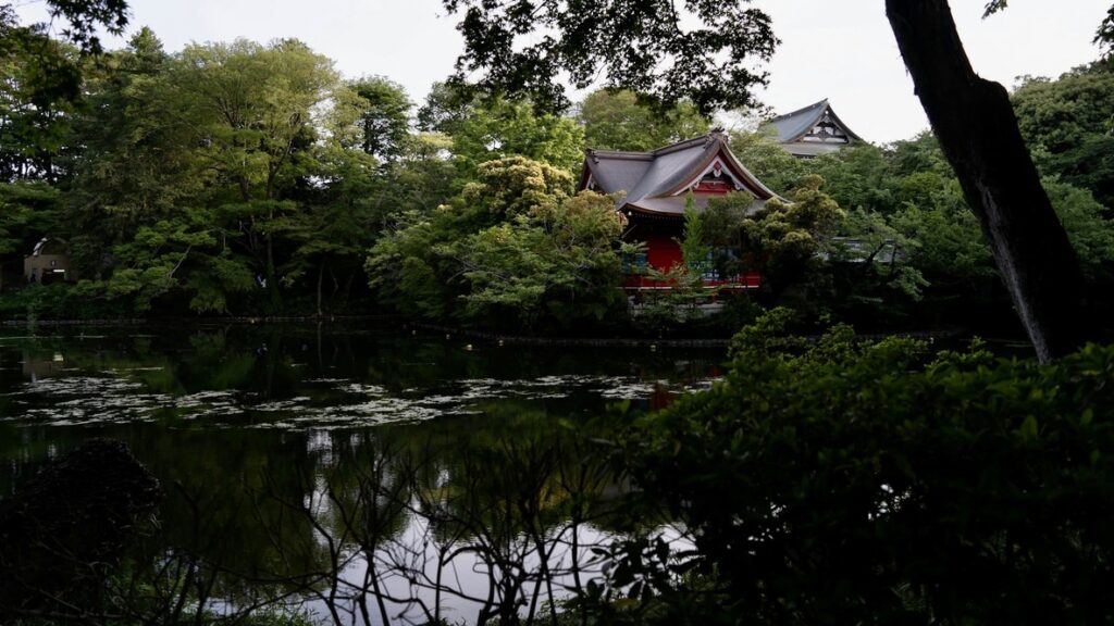 井の頭恩賜公園