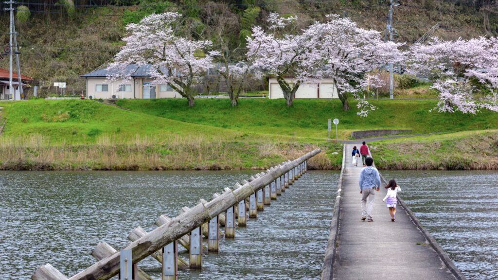 斐伊川桜並木：雲南市桜まつり